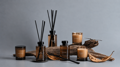 The Scent Chapter